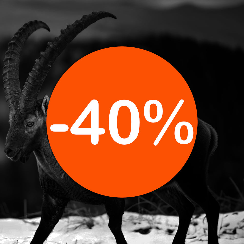 bis zu 40% OFF
