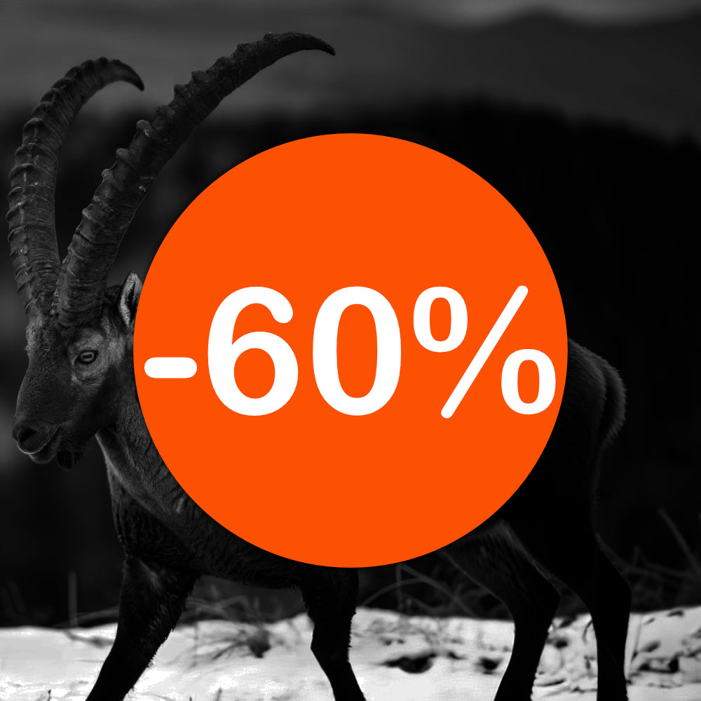 bis zu 60% OFF
